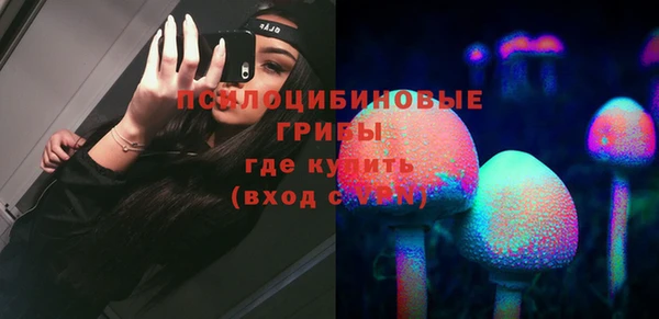 Альфа ПВП Гусев