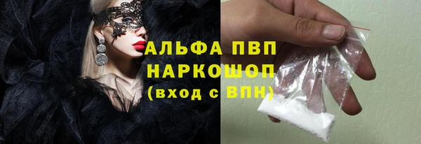 Альфа ПВП Гусев