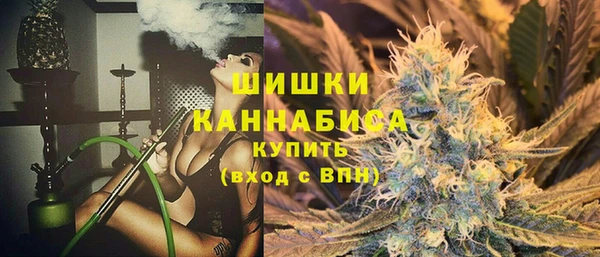 прущая мука Гусиноозёрск