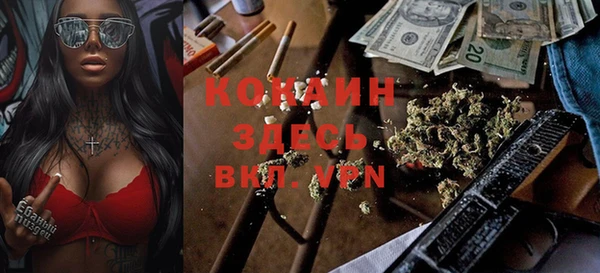 Альфа ПВП Гусев