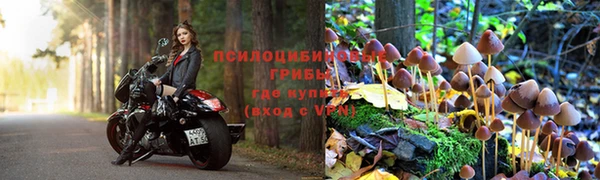прущая мука Гусиноозёрск